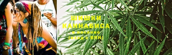 прущая мука Абаза