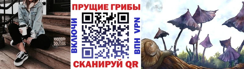 Псилоцибиновые грибы Cubensis  купить   Лесозаводск 